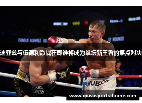 迪亚兹与伍德利激战在即谁将成为拳坛新王者的焦点对决